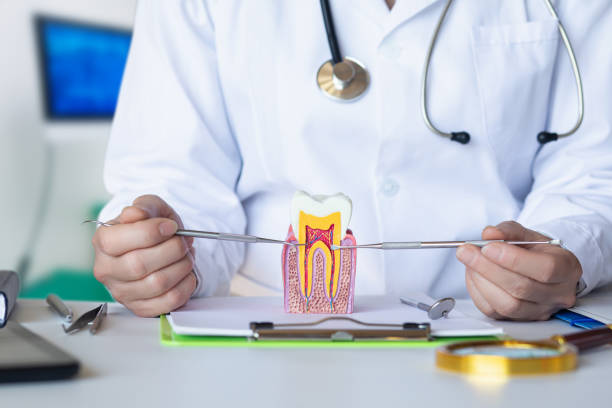 Best Walk-In Emergency Dental Services in Mccullom Lake, IL